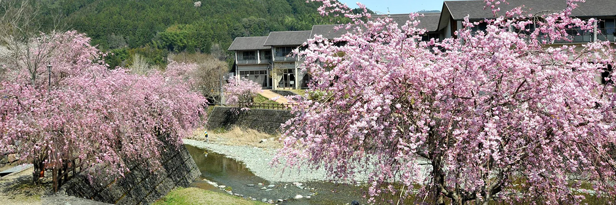 温泉の里神山の写真2